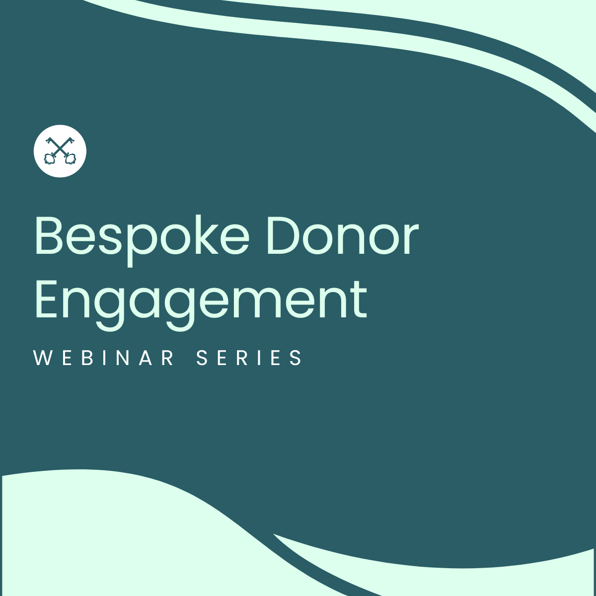 Bespoke Donor Engagement Webinar Series